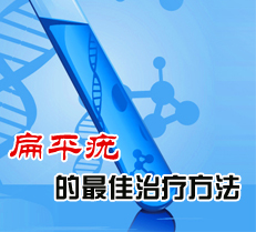 ��ƽ���������Ʒ���