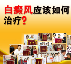 ����Ӧ���������