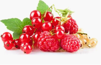 �ϲ��ƺְ�Ԥ������