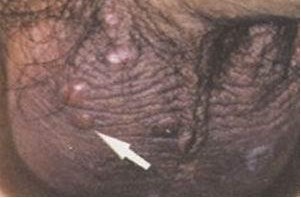 غ��ë����