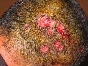 ͺ����ë����