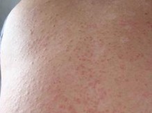 ������ţƤѢ�����Ʒ���