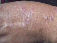 ţƤѢ����֢״ͻ������