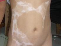 Ϊʲô�����������