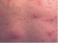 �괯������