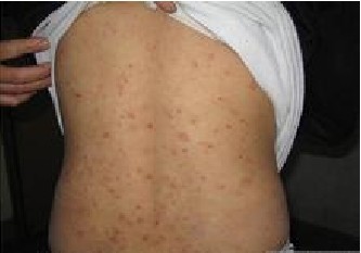 �괯������ѷ���