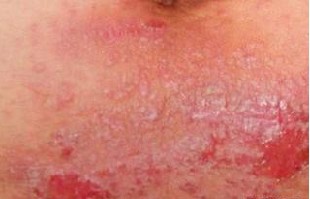 �괯�����Ʒ���