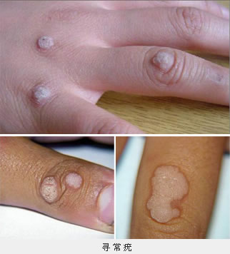 Ѱ����ĳ���Σ��������