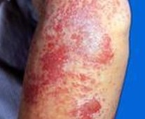 ����ʪ��ע������