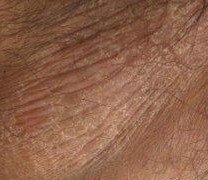 ����ʪ����ճ�Ԥ��