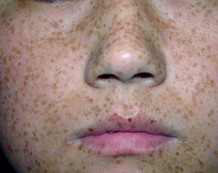 ȸ��Σ������