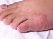 ��������Ѣ��ѧ��������Ҫ