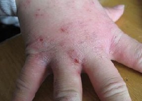 �괯��Σ��