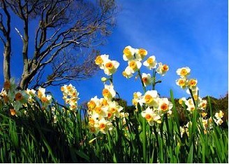 �괯�ļ�Ӵ�Ⱦ;������Щ