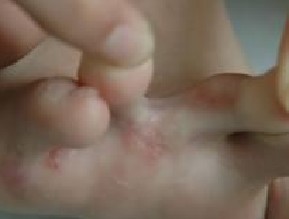 �괯��֢״����