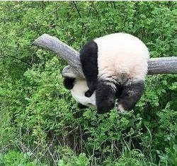 �괯������ַ�ʽ����