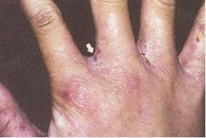 �괯����Ϸ���