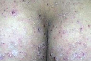 �괯��������Сϸ��