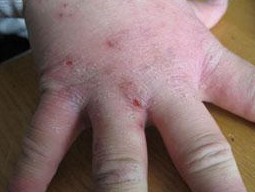 �괯�����ڼ�Ҫ���ӵ�����