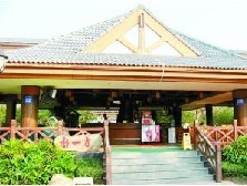 ��ֹ�괯����֢�Ĺؼ����ڻ�������