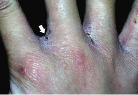 �괯��ͨ��ʲô������