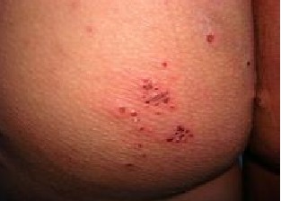 �괯����������ص�