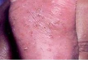 �괯����Ҫ������Щ