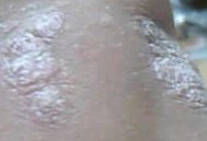 ţƤѢ��ôԤ������