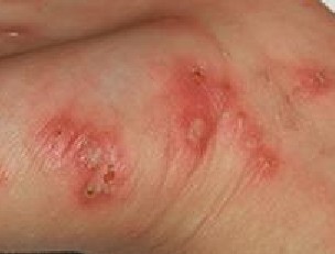 �괯���Ʒ�������