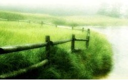 �ν괯���в�ҩ