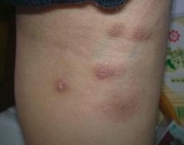 ���н괯����ʱ�Ľ���