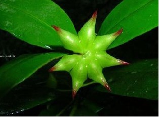 �괯��ڵ����Ʒ���