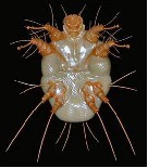 ���Ľ���