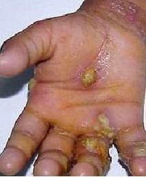 �괯�����Ʒ�����ע������