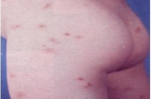 �괯�����Ʒ������