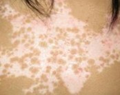 ���°�����ɢ����������Щ