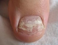 ��ָ��������γɵ�