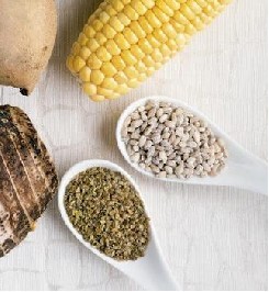 �ѷ�ʳ�Ƴ�ʲô