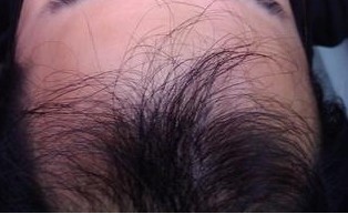 ֬�����ѷ�