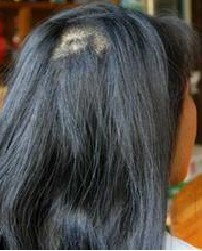 �����ѷ�