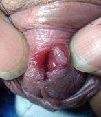 ����ʪ�������ֳ��������ЩӰ��