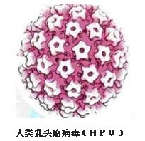 ��ɼ���ʪ�ิ����������Щ