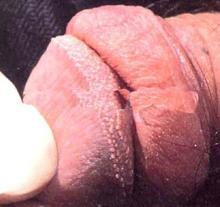 ����ʪ�໼���������ľ��岡��