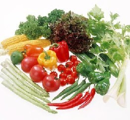 �ѷ����ߵ���ϸ��ʳ����