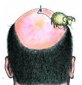 �����ǡ����к���ʽ������ʦ