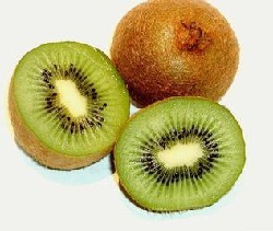 ���Ԥ���ѷ�