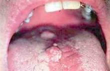 ����ʪ����������