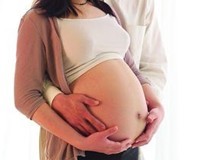 ��ֳ�������̥����Σ��