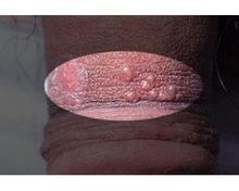 ������ֳ�������Σ��