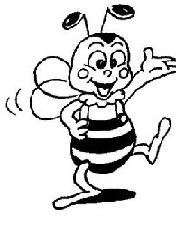 Ƥ�������Ĳ���